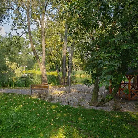 Tysiaclecia Next To Park Slaski By Renters