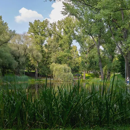 Tysiaclecia Next To Park Slaski By Renters